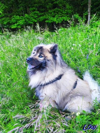 27.5.2025 - Ich hab dich im Blick